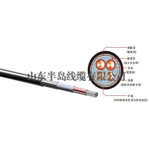 電機(jī)引線(xiàn)的作用是什么？